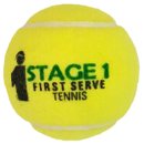 ARP FST Tennisball Grüner Punkt (Stage 1) 12er-Pack