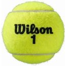 WILSON Roland Garros All Court 4 Balles