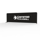 Pickleball Surround Arena